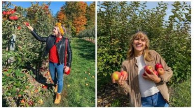 采摘！多伦多周边8个苹果农场开了！仅