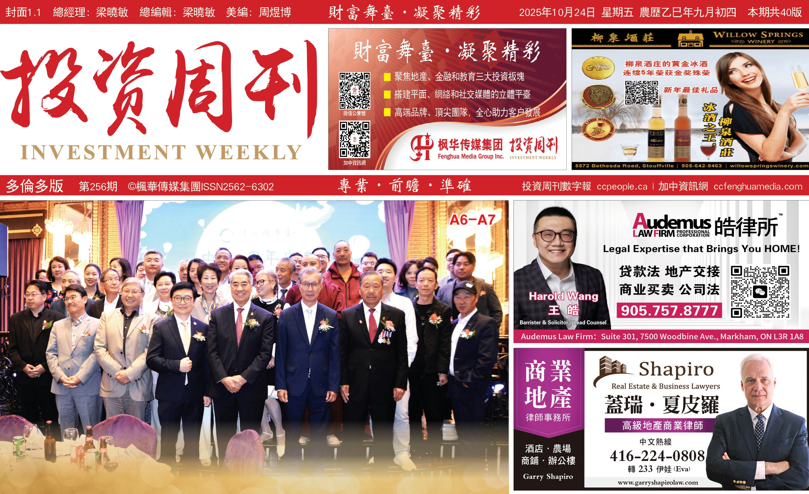 <strong>Ͷܿ256</strong>