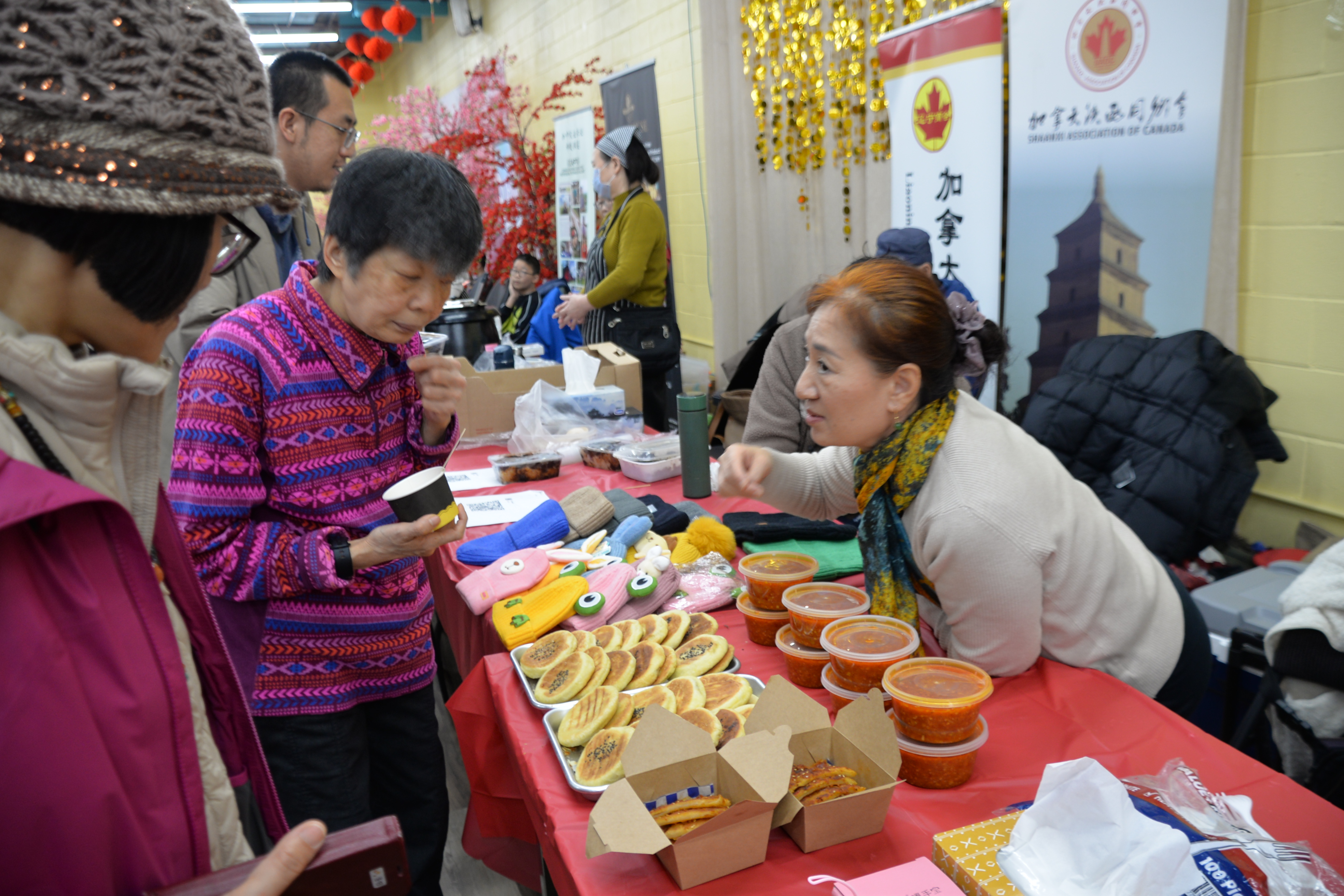 2026���ô���ͬ��������ܻ��´�����Բ������!