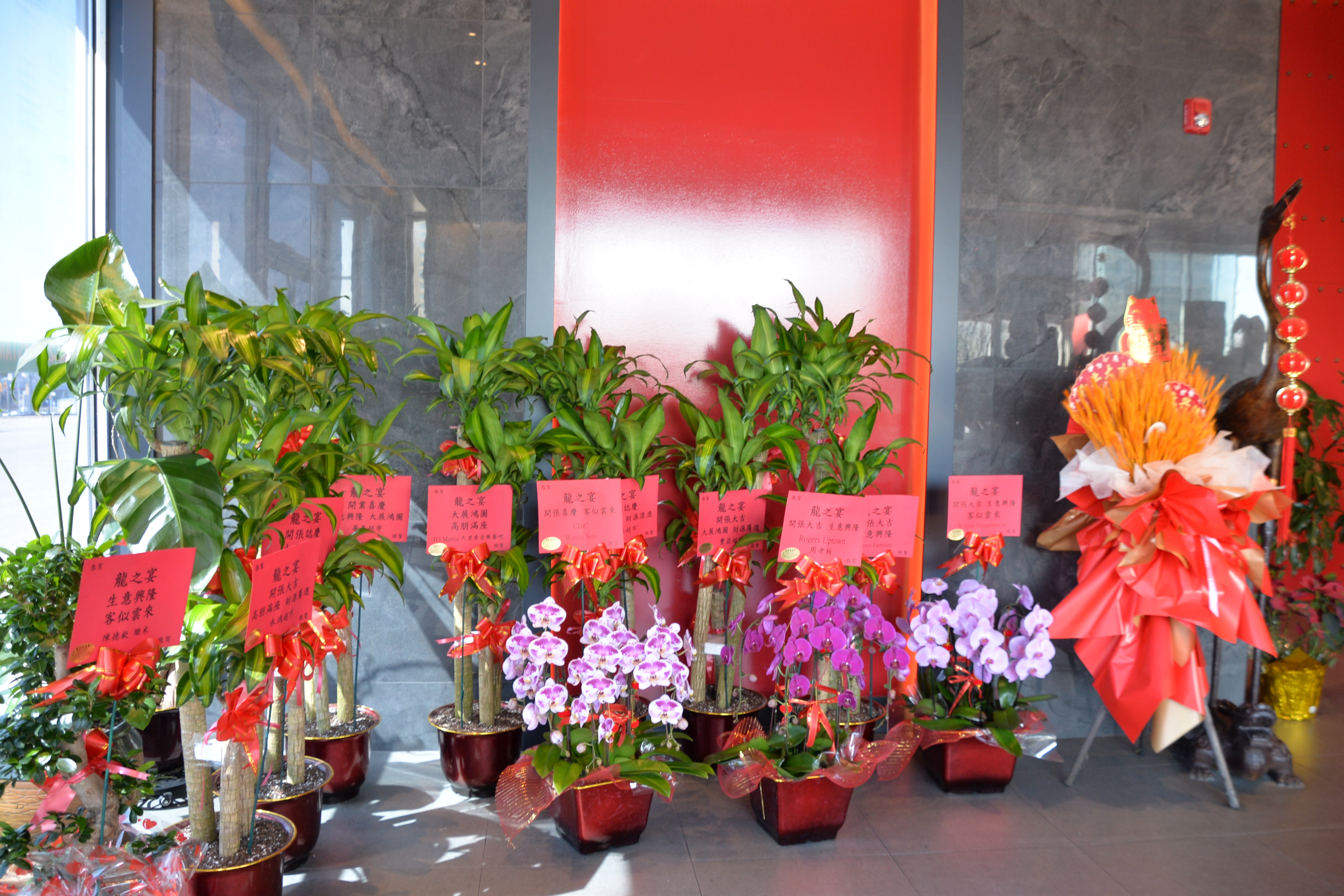 Asian Dragon Buffet��֮��ʢ��ҵ����λ��������ºع���ʢ��