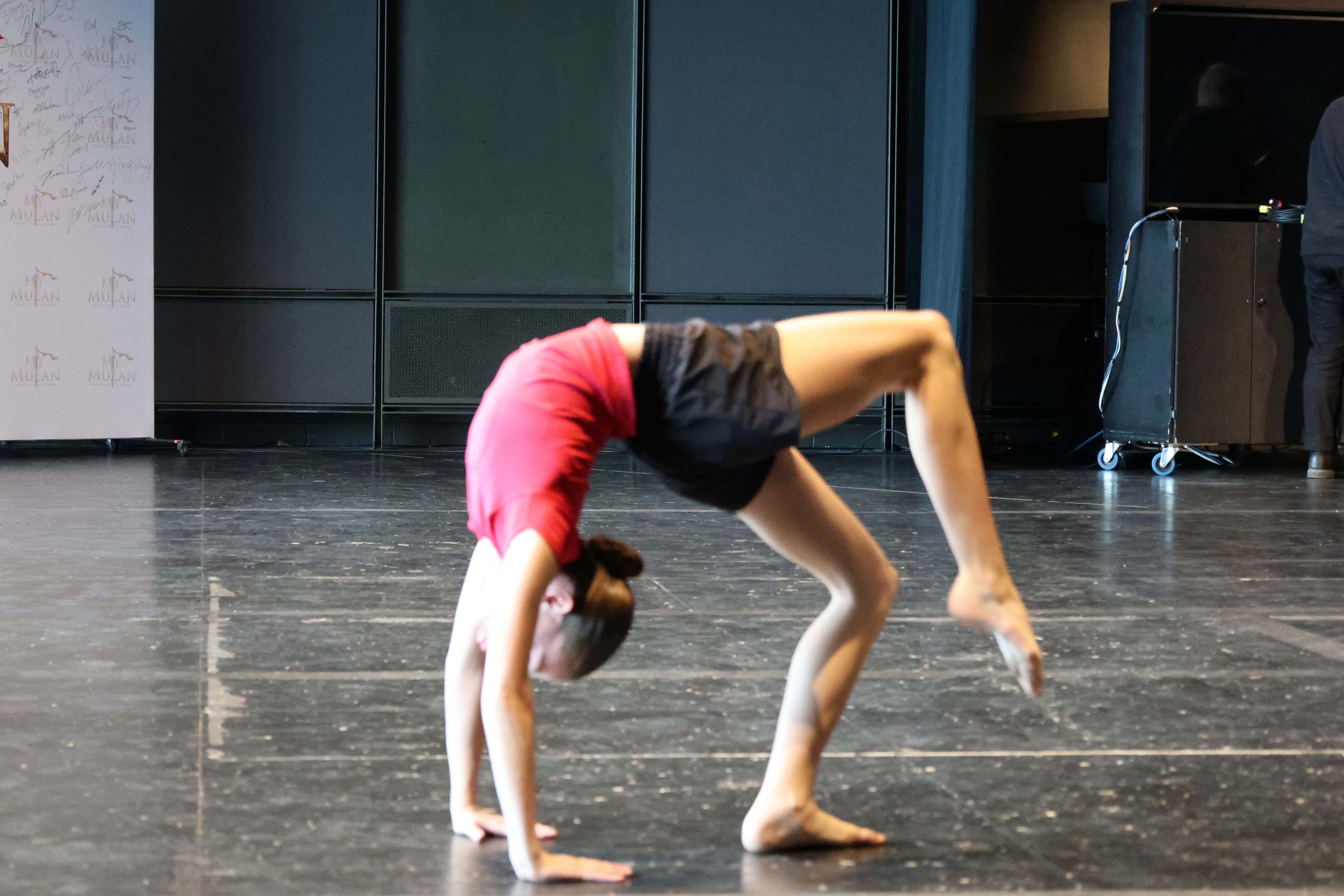 ��My Mulan���ڰ˼���������Niagara�ɹ��ٰ�,�����Ļ���Ŀ��չ��