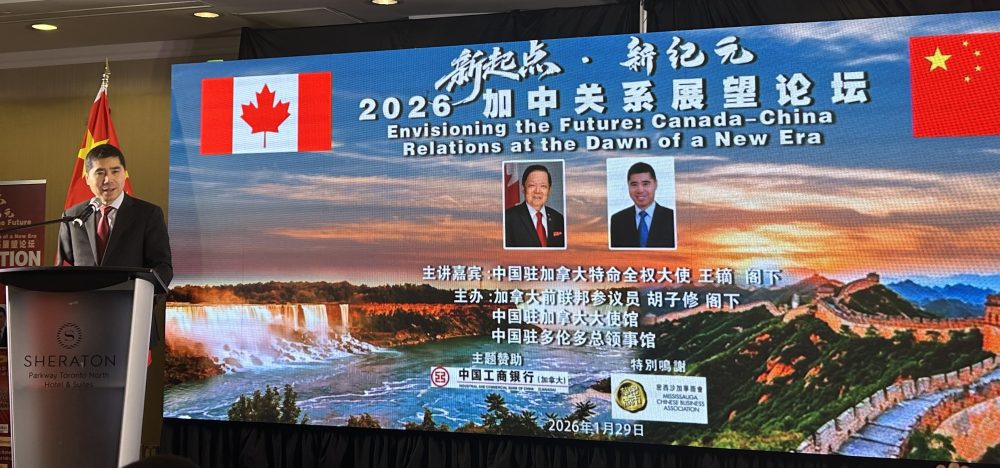 �����ʹ���������Ϣ��������2026���й�ϵչ����̳�ڶ��׶����