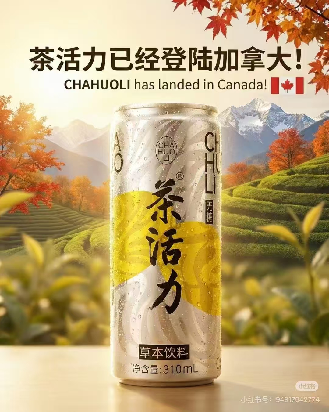 中华神药【片仔癀】首推健康饮品:【片仔癀茶活力】正式登陆北美