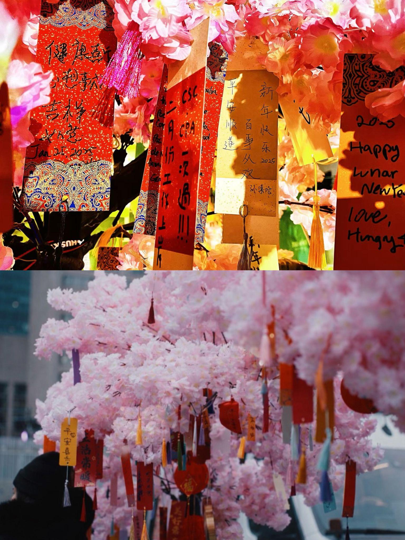 ���׶ഺ���̻����2��14-15���𺳿��� ����ζ�컨�塱�ع飡