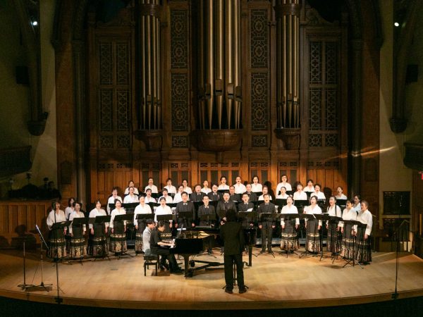 ������������������ |����������2026���ϳ�ר�����ֻ�Բ����Ļ