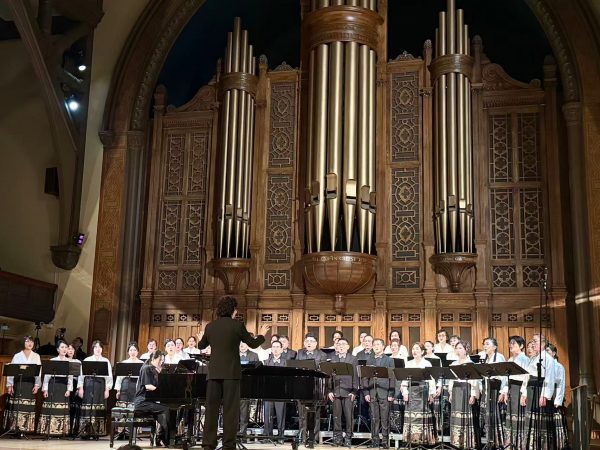 ������������������ |����������2026���ϳ�ר�����ֻ�Բ����Ļ