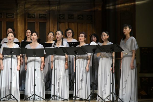 ������������������ |����������2026���ϳ�ר�����ֻ�Բ����Ļ