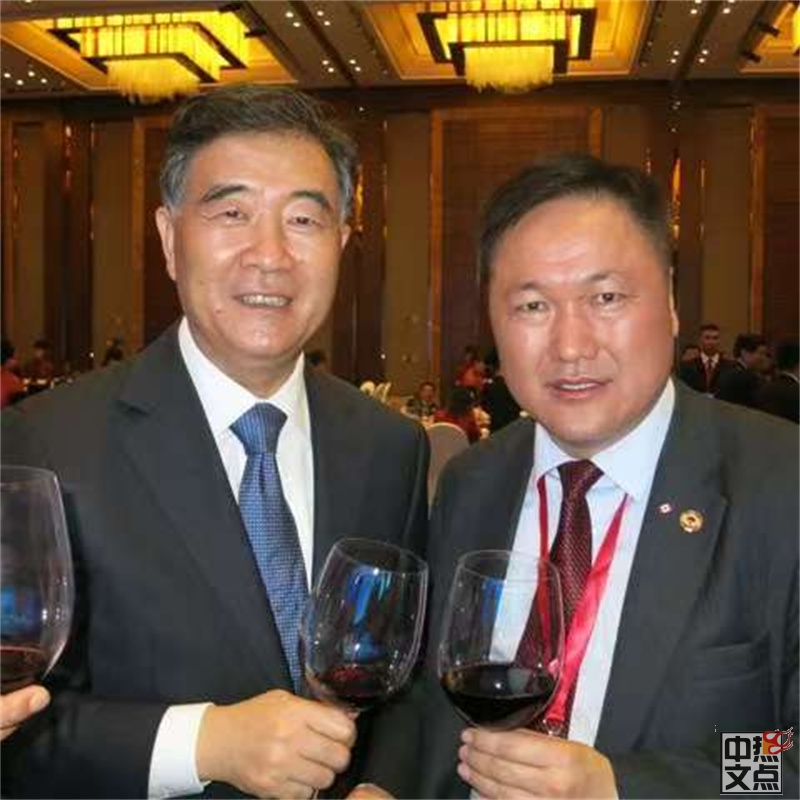 “侨连五洲·七彩云南”第22届东盟华商会昆明隆重举行,陆炳雄应