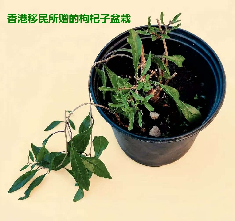 ��ѡ����֮�ʣ����յ��������������ů������