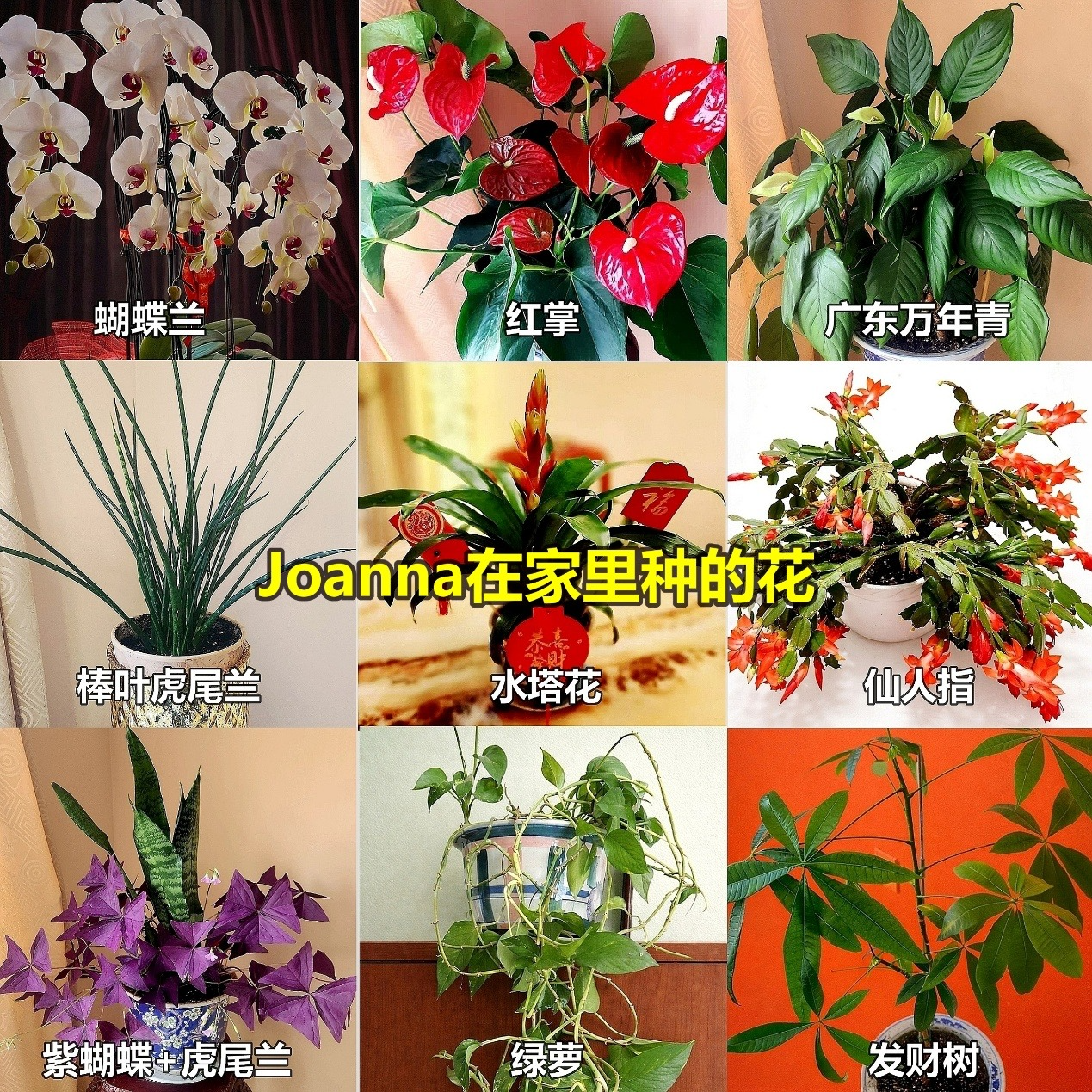 ��ѡ����֮�ʣ����յ��������������ů������